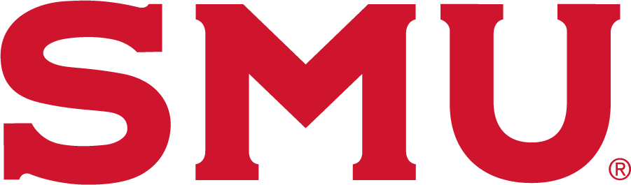 Southern Methodist Mustangs 2021-pres wordmark logo v2 DIY iron on transfer (heat transfer)